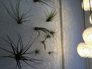 JAPAN SHOP 2015 WAKO 和晃プラスチック　PlaRain 新素材３